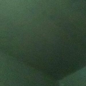 Meet your Posher, Windy