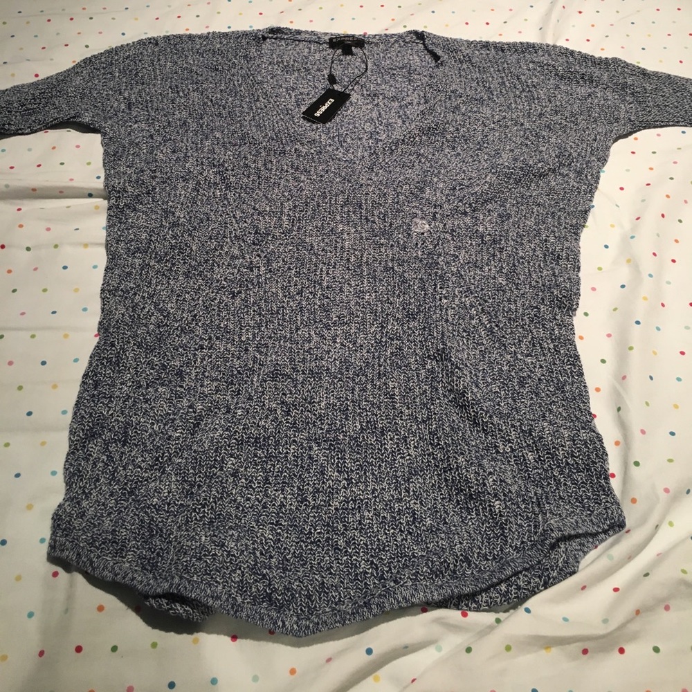 Express Blue V-Neck Sweater