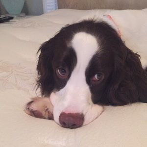 Meet your Posher, Sara