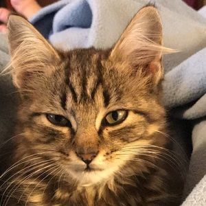 Meet your Posher, Addison