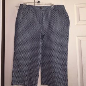 Ann Taylor Capri pants