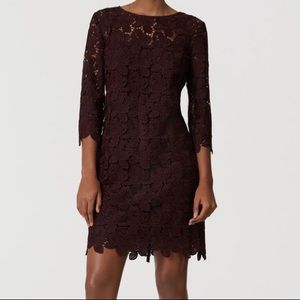 *NWT!* LOFT Lace Shift Dress