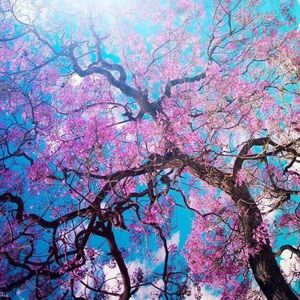 Meet your Posher, Romelia