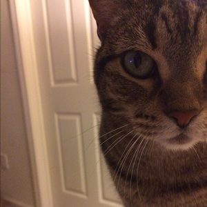 Meet your Posher, Veronica