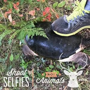 Meet your Posher, Jerimie