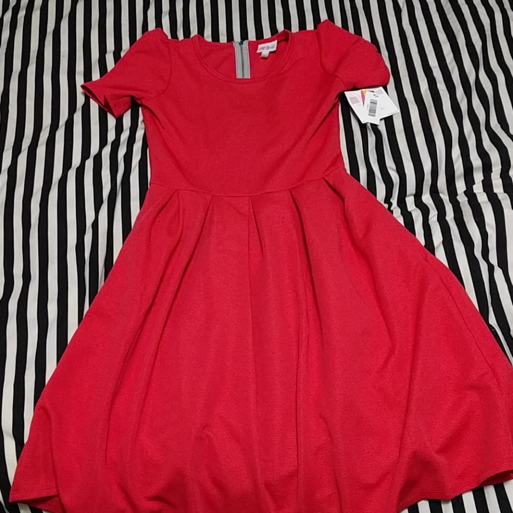 NWT Coral A-Line Dress with Pockets (Amelia)