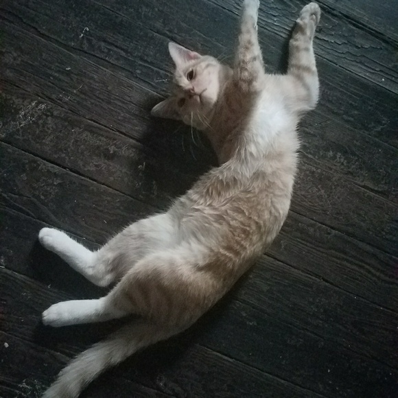 Me!! - Picture 5 of 6