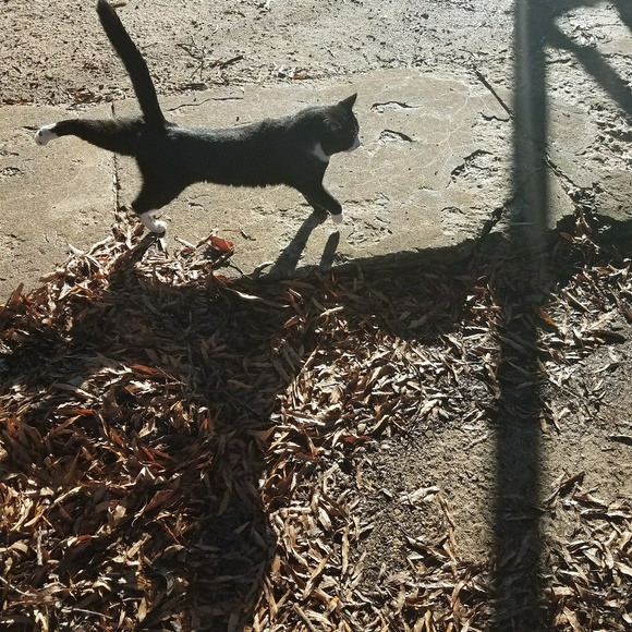 Me!! - Picture 6 of 6