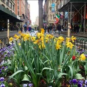 Meet your Posher, Janet