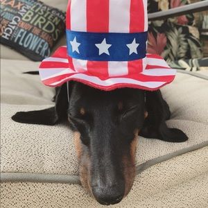 Meet your Posher, Holly