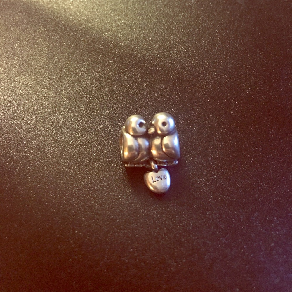 "Lovebirds" pandora charm.