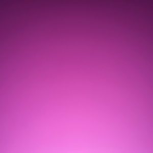 Meet your Posher, Genesis