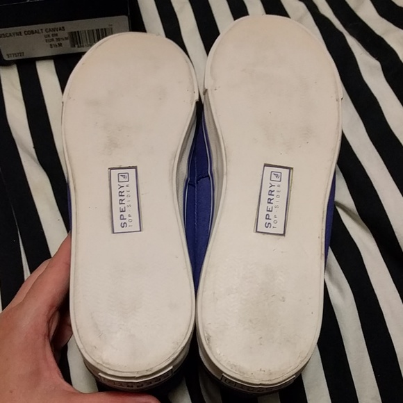NWT Blue Sperry canvas boat shoes 8.5 in box! - Picture 3 of 4