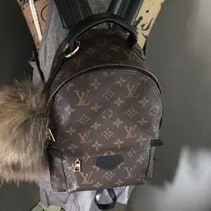 Louis Vuitton Palms springs Pm