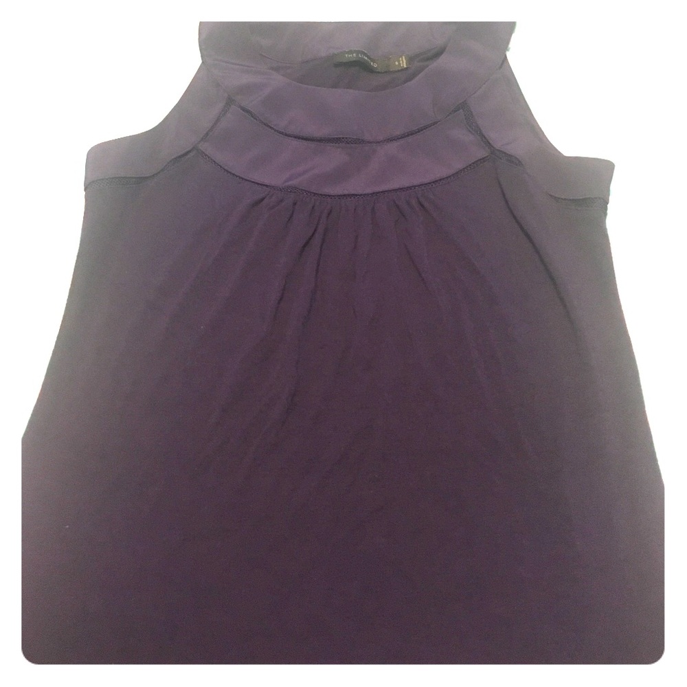 Dressy Purple tank top - the Limited