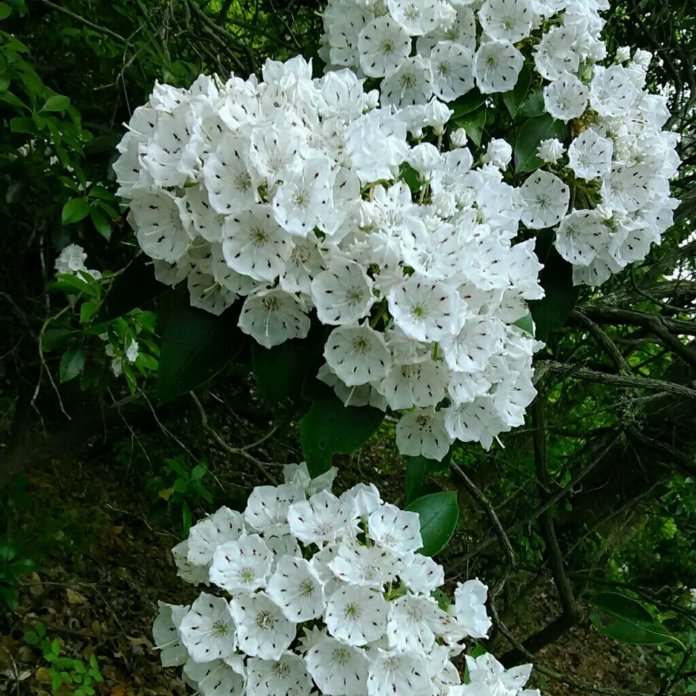 Meet your Posher, Katrina