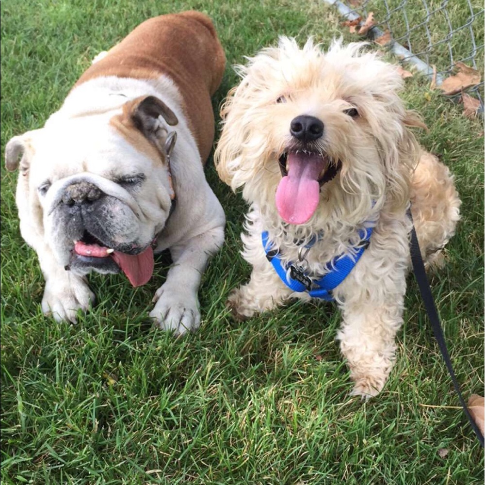 Meet your Posher, Veronica