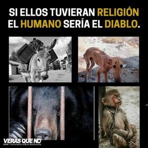 Meet your Posher, Alejandro