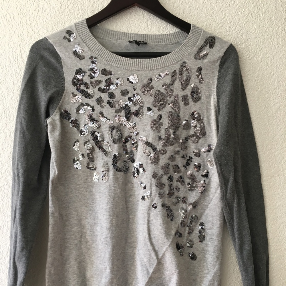 Express sequin sweater
