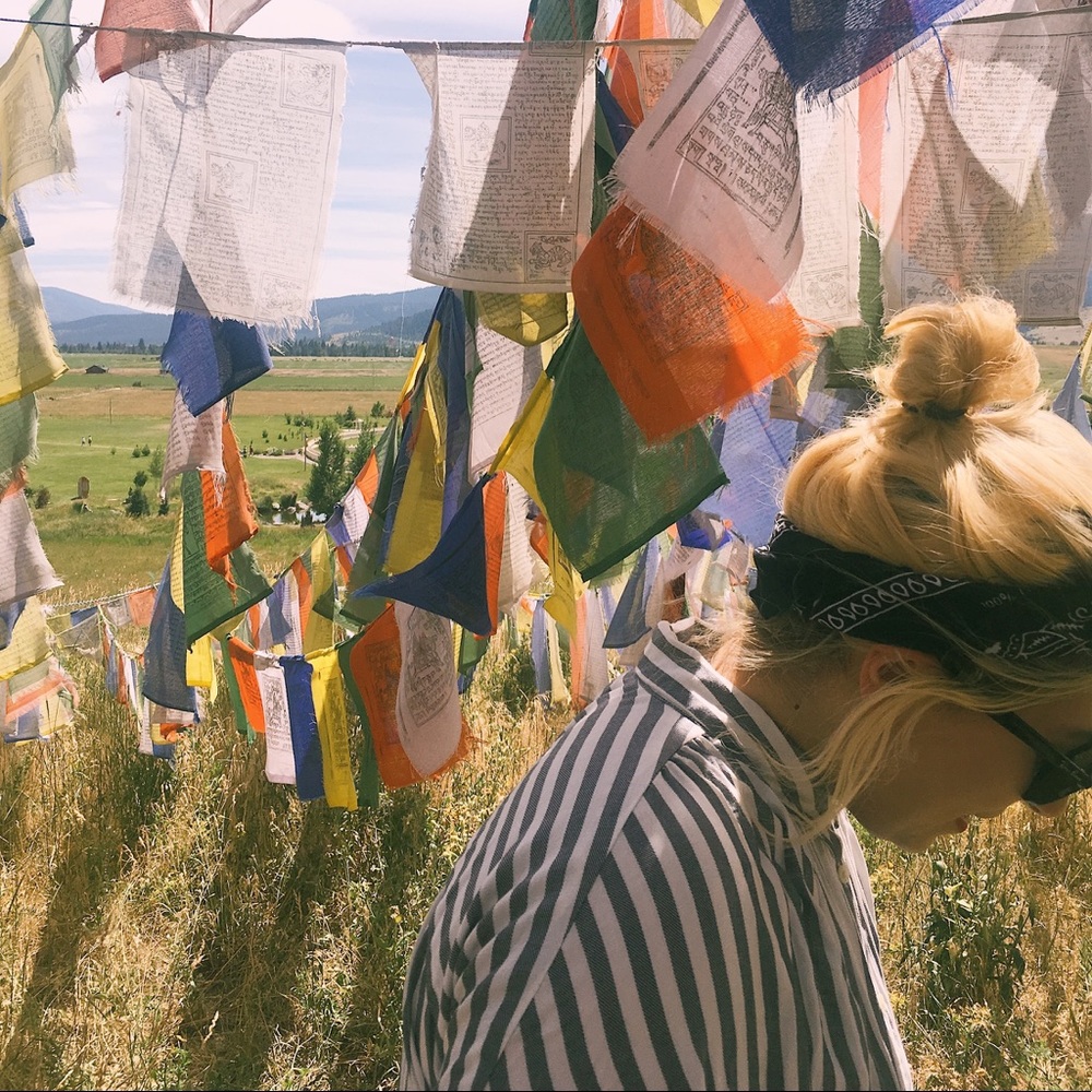 Meet your Posher, Yassie