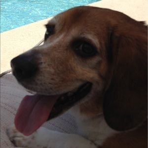 Meet your Posher, Carol