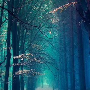 Meet your Posher, Pat