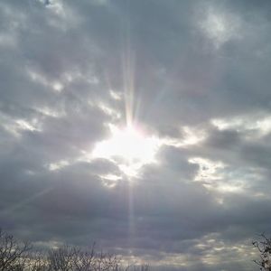 Meet your Posher, Nicholas