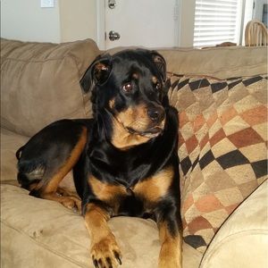 Meet your Posher, Gale