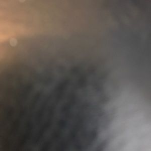 Meet your Posher, Leo