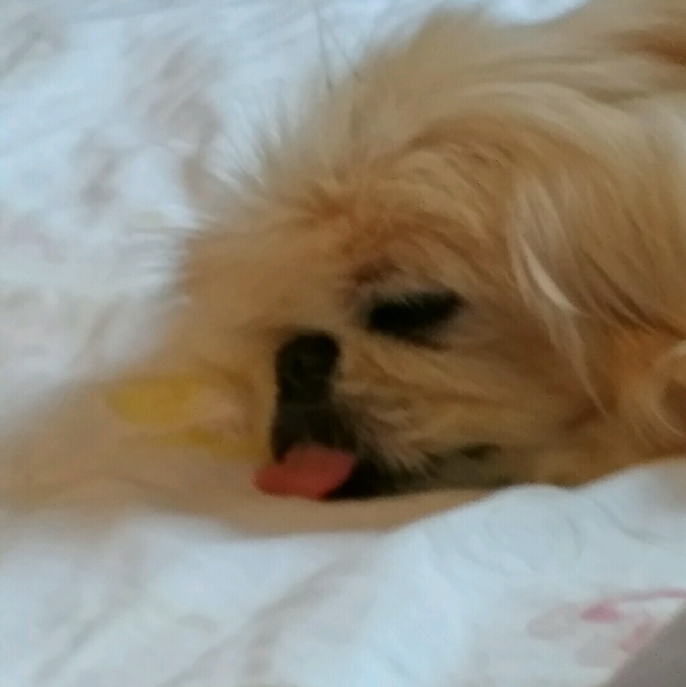 Meet your Posher, Frances