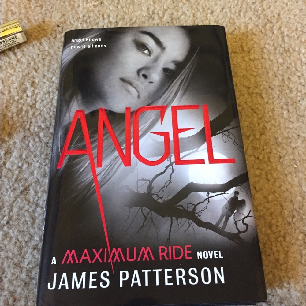 Angel -maximum ride book