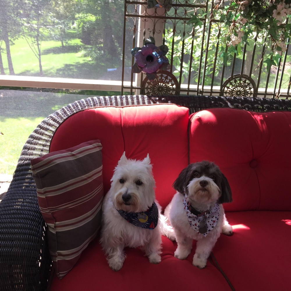 Abby & Coco my side kicks