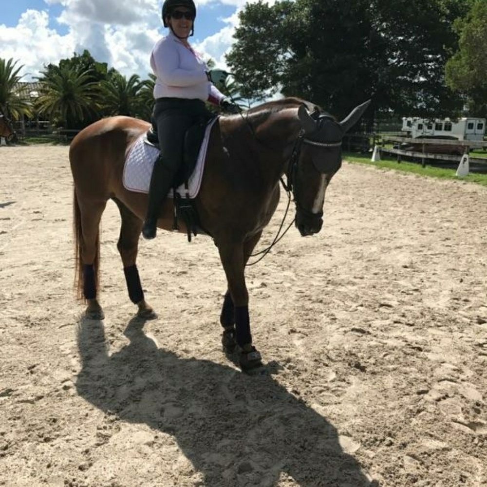 Meet your Posher, Ellen