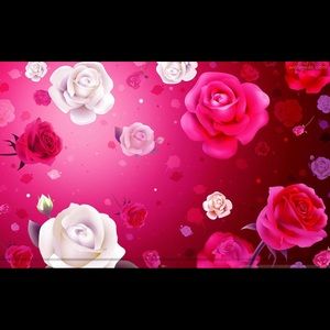 Meet your Posher, Ana