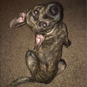 Meet your Posher, Jazmine