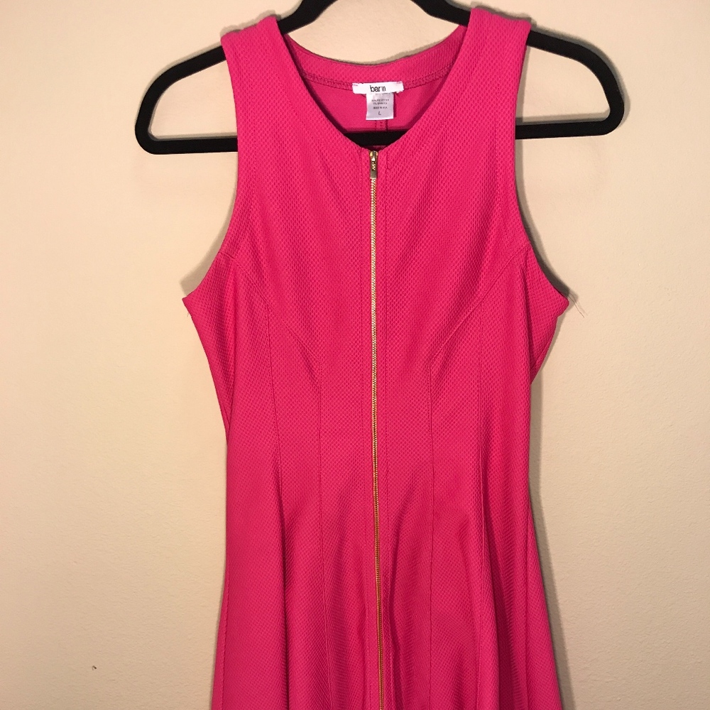 Zip Up Fit and Flare Dress