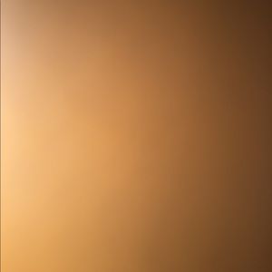 Meet your Posher, Simond