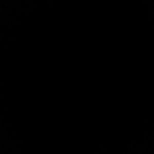 Meet your Posher, Nina