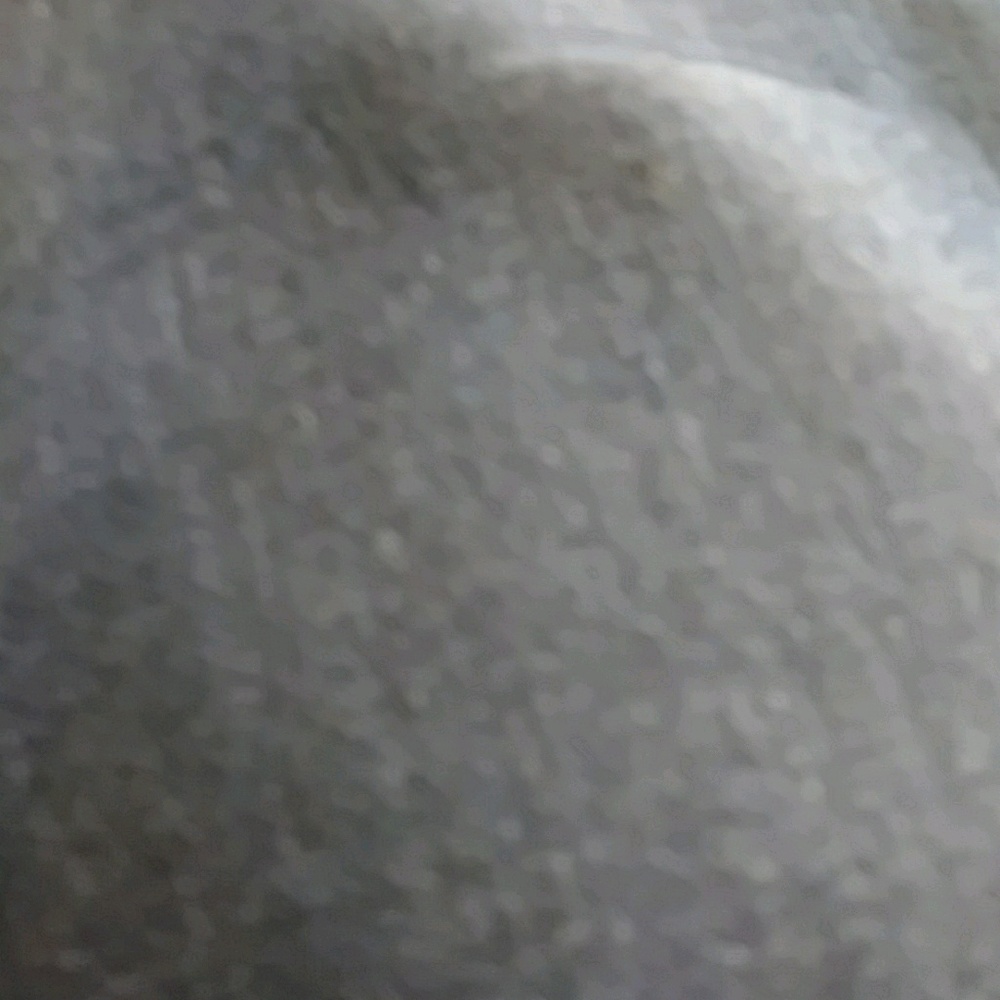 Meet your Posher, Donnie