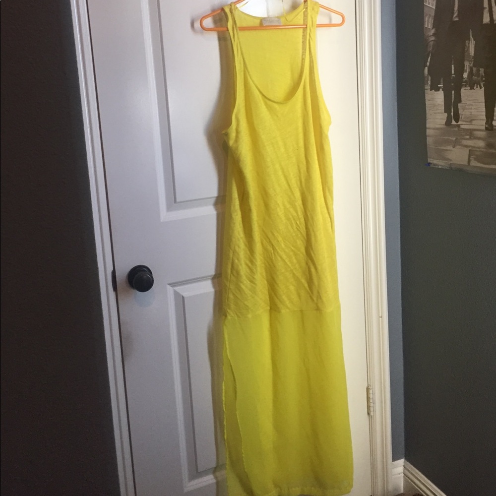 Zara Mesh Maxi Dress