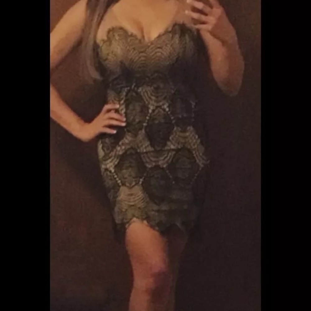Forever 21 Sheer Lace Dress