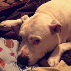 Meet your Posher, Blaine