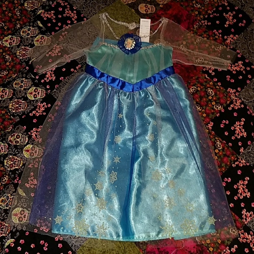 Elsa costume dress