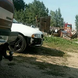 Meet your Posher, Morelia