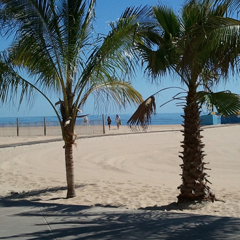 Meet your Posher, Deb