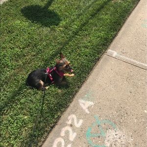 Meet your Posher, Racheal