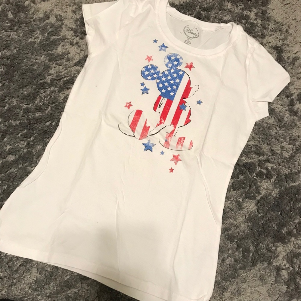 Disney/ mickey mouse/ flag