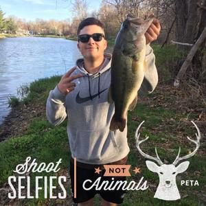 Meet your Posher, Nick