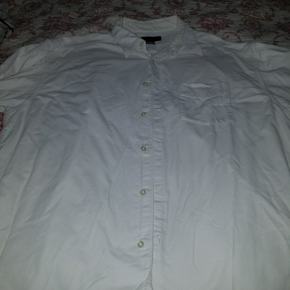 Dress long sleeve button up