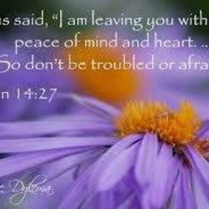 Meet your Posher, Jenea